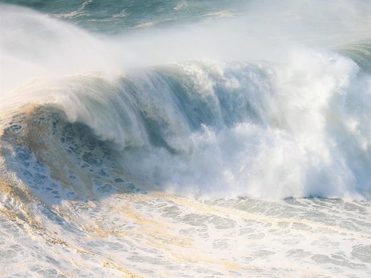 White Swell By Sitio Da Nazare Apartment Luaran gambar